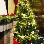 Azienda Agrituristica Il Moraiolo ファームステイ *
