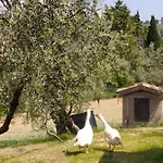 Azienda Agrituristica Il Moraiolo フォリーニョ