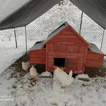 Azienda Agrituristica Il Moraiolo Agroturismo Foligno