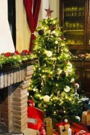 Azienda Agrituristica Il Moraiolo Agroturismo *