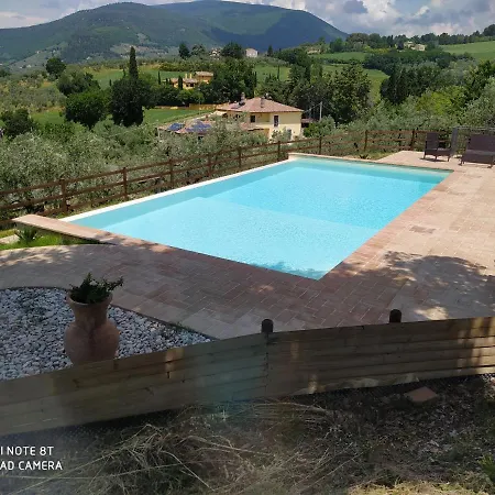 Farm stay Azienda Agrituristica Il Moraiolo *