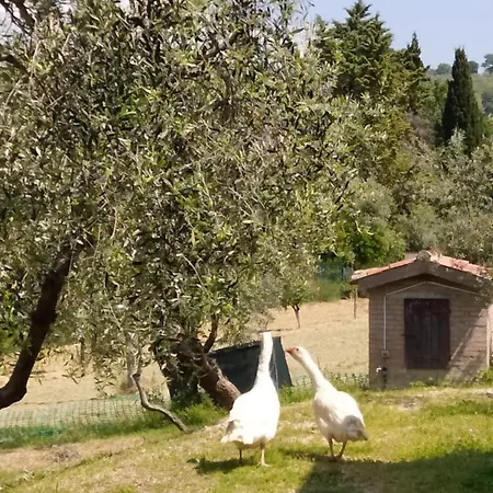 Azienda Agrituristica Il Moraiolo Фолиньо