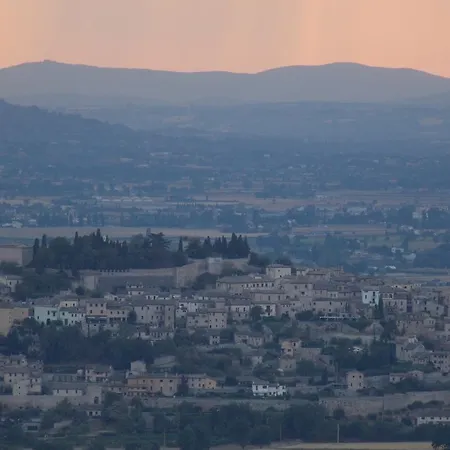 Azienda Agrituristica Il Moraiolo