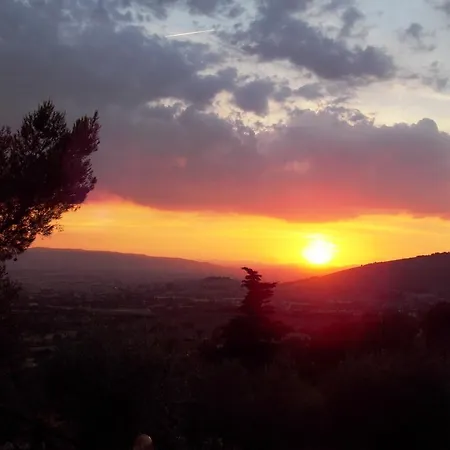 Azienda Agrituristica Il Moraiolo Farm stay
