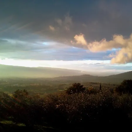 Farm stay Azienda Agrituristica Il Moraiolo