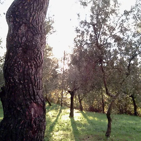 Azienda Agrituristica Il Moraiolo Foligno