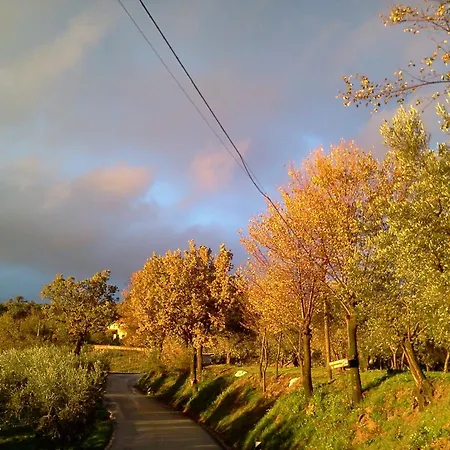 Farm stay Azienda Agrituristica Il Moraiolo *