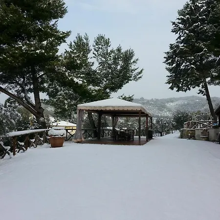 Azienda Agrituristica Il Moraiolo Agroturismo *