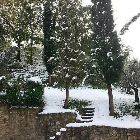 Azienda Agrituristica Il Moraiolo Фермерский дом